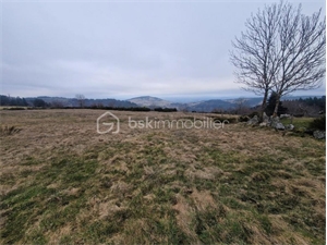 terrain a batir à la vente -   48600  GRANDRIEU, surface 3550 m2 vente terrain a batir - UBI462494756